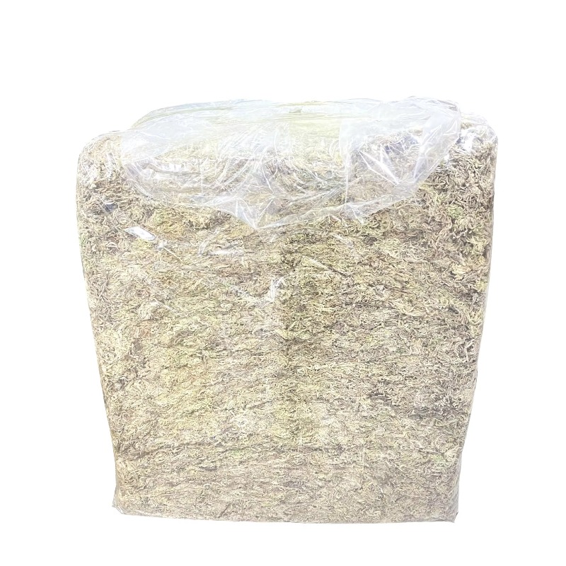 Sphagnum Moss Dry - 5kg 용량의 압축 건조 스페그넘 이끼,