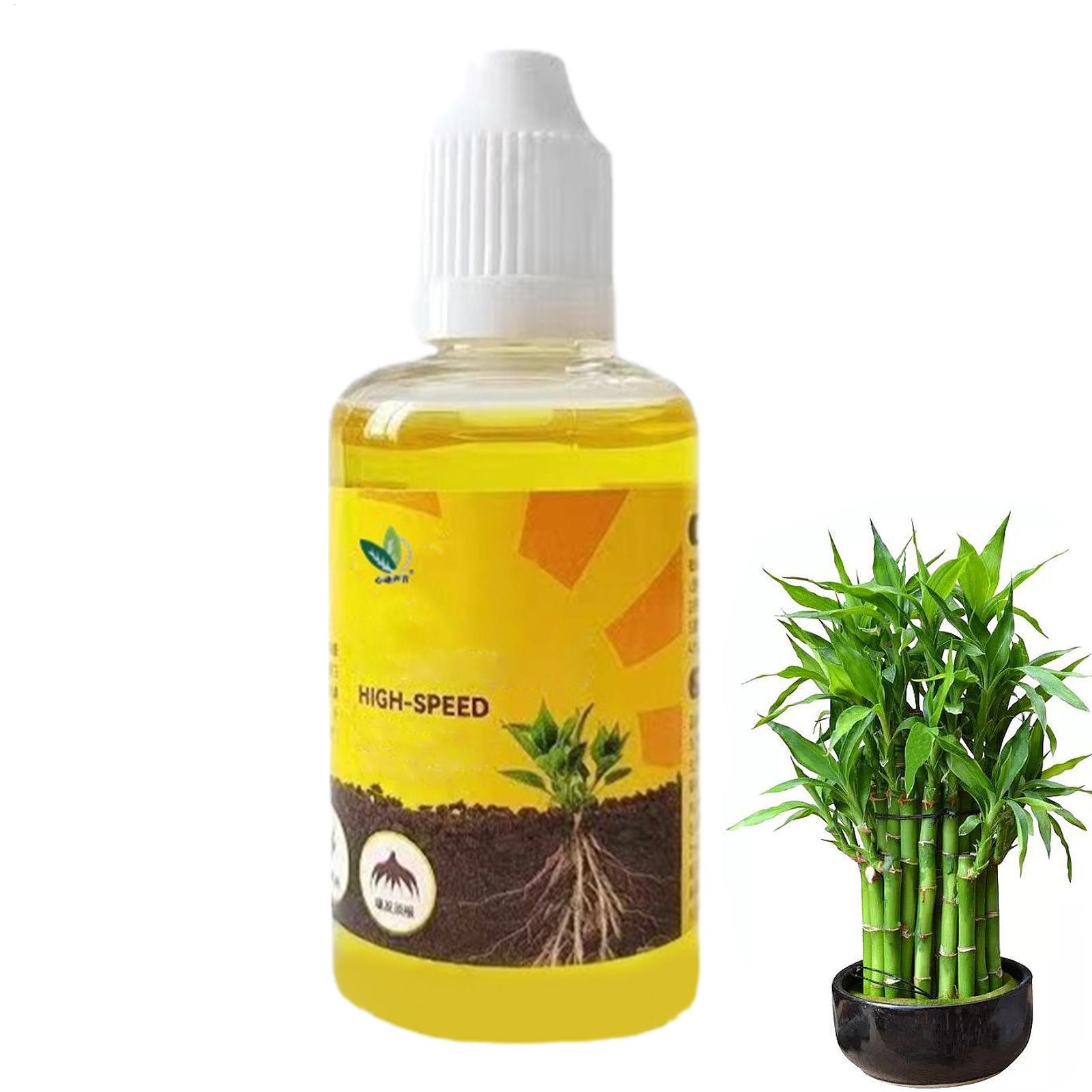 식물 발근 촉진제, 식물 뿌리 강화제, 발근 촉진 액체 - Root Stimulator Liquid 리뷰 및 가격