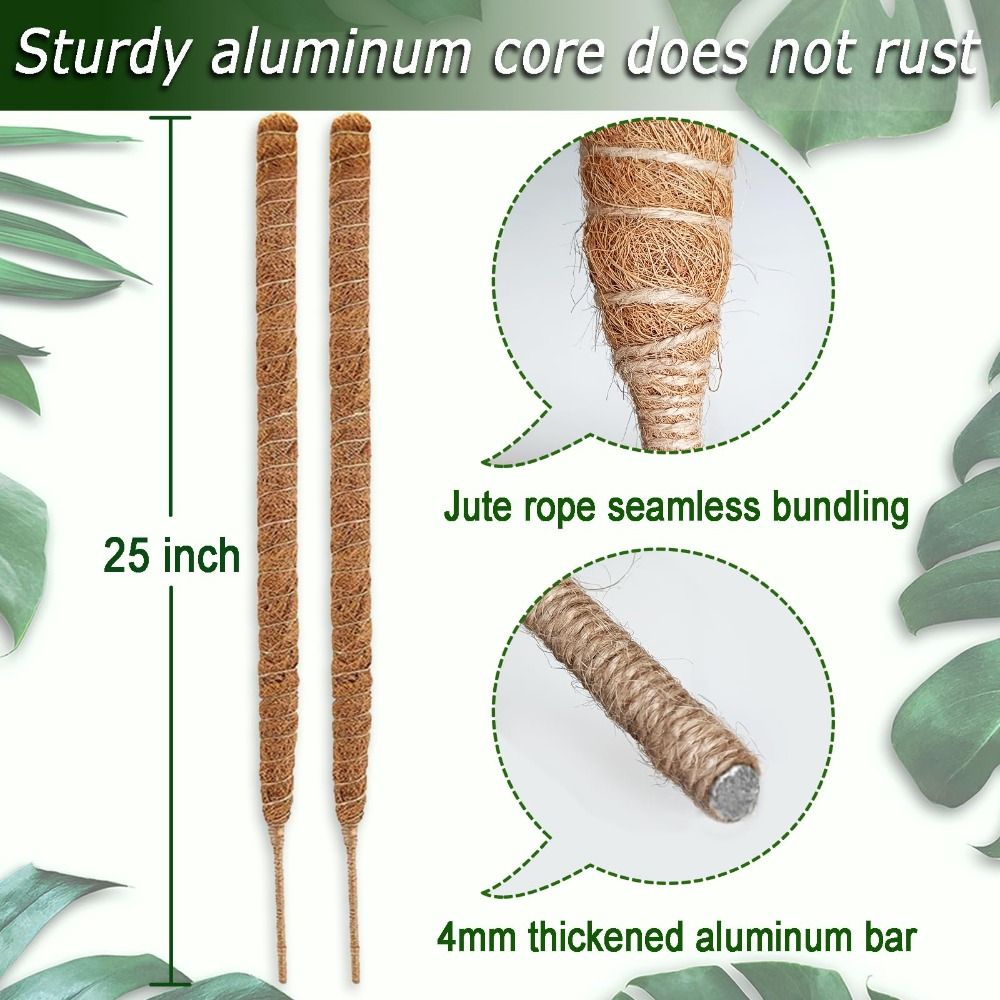 식물 지지대 구부릴 수 있는 이끼봉 천연 소재 수제 식 - Sphagnum Moss Dry 리뷰 및 가격