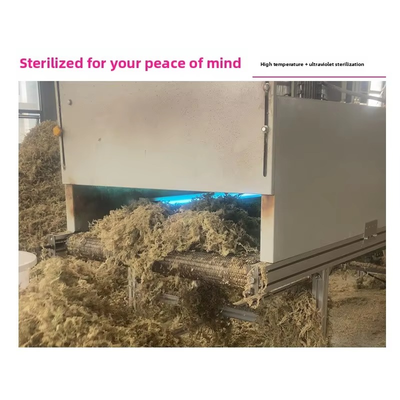 5kg 용량의 압축 건조 스페그넘 이끼, 화분 재배용으 - Sphagnum Moss Dry 리뷰 및 가격