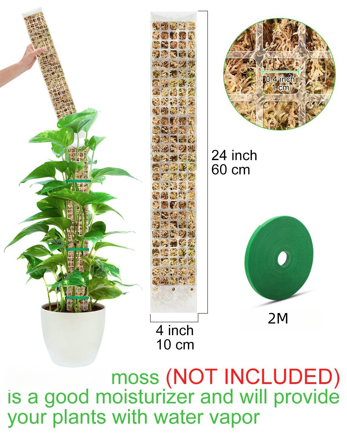 식물 이끼 극 정원 주제 꽃 식물 등산가 분재 액세서리 - Sphagnum Moss Dry 리뷰 및 가격